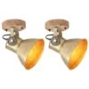 Lampe Murale Industrielle/de Plafond 2 Pcs Laiton 20x25 Cm E27 -OSRAM || Philips || Bosch Soldes lampe murale industrielle de plafond 2 pcs laiton 20x25 cm e27 3666722779524 949771