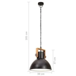 Lampe Suspendue Industrielle 25 W Noir Rond 30 Cm E27 -OSRAM || Philips || Bosch Soldes lampe suspendue industrielle 25 w noir rond 30 cm e27 3666722779074 963552