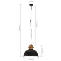 Lampe Suspendue Industrielle 25 W Noir Rond Manguier 42 Cm E27 -OSRAM || Philips || Bosch Soldes lampe suspendue industrielle 25 w noir rond manguier 42 cm e27 3666722348935 951866