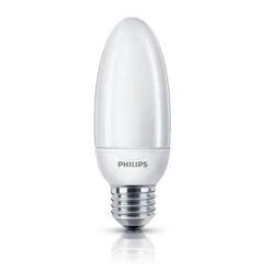 PHILIPS Ampoule Fluo-compacte Flamme Lisse E27 12 W équivalent A 52 W Blanc Chaud