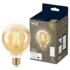 WiZ Ampoule Connectée Globe 95 Vintage Blanc Variable E27 50W